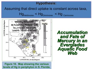 2005 – 4ο Να γράψετε τα ονόματα των οργανισμών που αντιστοιχούν στις θέσεις 1, 2, 3, 4, 5
(μον10) και των διαδικασιών α, β (μον6). Στη συνέχεια να περιγράψετε τη διαδικασία β (μον9).

 