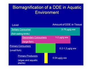 Ευτροφισμός
Καλλιέργειες

Πόλεις κλπ

Λύματα

Νιτρικά ιόντα (N03-)
Φωσφορικά ιόντα (ΡΟ4 -3)

ΛΙΜΝΕΣ, ΚΛΕΙΣΤΟΙ
ΘΑΛΑΣΣΙΟΙ ΚΟΛΠΟΙ

Απεκκρίσεις
(νεκρή οργανική ύλη)

Παραγωγοί
Αποικοδομητές
Καταναλωτές
Έντονη αποικοδόμηση > φωτοσύνθεση
Έλλειψη οξυγόνου
Θερμό νερό
Ενεργειακή ρύπανση

Ψυκτικές εγκαταστάσεις
βιομηχανιών
και πυρηνικοί
αντιδραστήρες

 