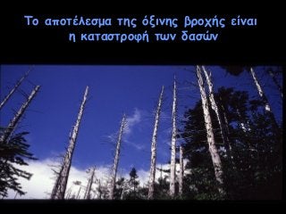 Το αποτέλεσμα της όξινης βροχής είναι
η καταστροφή των δασών

 