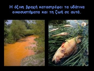 Η όξινη βροχή καταστρέφει τα υδάτινα
οικοσυστήματα και τη ζωή σε αυτά.

 