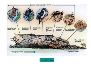 και τώρα κάτι πιο χαριτωμένο..

 
