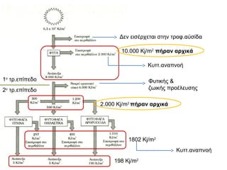 Ασκήσεις
Κατηγορία 0:
κατάταξη οργανισμών σε τροφικά επίπεδα ή τάξεις καταναλωτών
εύρεση τροφικών αλυσίδων
-εφαρμογές ισορροπίας σε τροφικό πλέγμα
Κατηγορία 1:
Εφαρμογή του 10% σε ενέργεια και βιομάζα
Σχεδιασμός και ανάλυση πυραμίδων ενέργειας και βιομάζας
Πυραμίδες πληθυσμού

 
