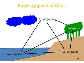 10% - 2006 4

ο

--Να γράψετε όλες τις
διαφορετικές τροφικές
αλυσίδες …και να
κατατάξετε τους
οργανισμούς σε όλα τα
δυνατά τροφικά επίπεδα.
--Ποιοι οργανισμοί
συμπεριφέρονται
ταυτόχρονα ως κατ/τές 2ης
και 3ης τάξης;
--Αν η ενέργεια που
εμπεριέχεται στον
πληθυσμό της λιβελούλας
είναι 1000 ΚJoules, να
υπολογίσετε την ενέργεια
στον πληθυσμό των
βατράχων.

 