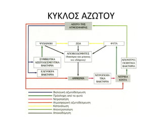 Το φαινόμενο του θερμοκηπίου είναι φυσιολογικό
και εμφανίζεται και σε άλλους πλανήτες

ºC

-47
-57

Άρης

+ 477

+16
-18

Γη

-46

Αφροδίτη

 