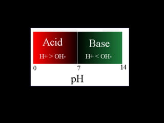ΚΥΚΛΟΣ ΑΖΩΤΟΥ

 