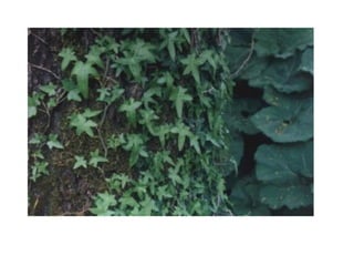 ΕΝΔΟ/ΔΙΑΕΙΔΙΚΟΣ ΑΝΤΑΓΩΝΙΣΜΟΣ

 