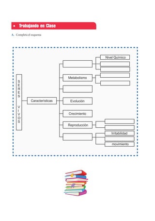 Trabajando en Clase
A. Completa el esquema
 