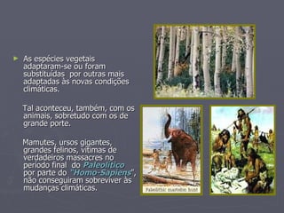 As espécies vegetais adaptaram-se ou foram substituídas  por outras mais  adaptadas às novas condições climáticas. Tal aconteceu, também, com os animais, sobretudo com os de grande porte. Mamutes, ursos gigantes, grandes felinos, vítimas de verdadeiros massacres no período final  do  Paleolítico  por parte do  “Homo-Sapiens ”, não conseguiram sobreviver às mudanças climáticas. 