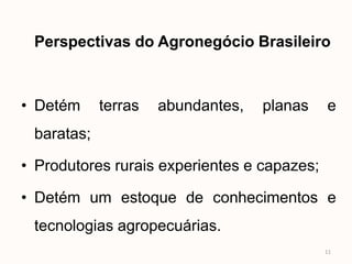 Perspectivas do Agronegócio Brasileiro



• Detém     terras   abundantes,   planas    e
 baratas;

• Produtores rurais experientes e capazes;

• Detém um estoque de conhecimentos e
 tecnologias agropecuárias.
                                             11
 