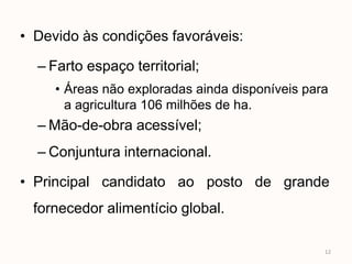 • Devido às condições favoráveis:

  – Farto espaço territorial;
     • Áreas não exploradas ainda disponíveis para
       a agricultura 106 milhões de ha.
  – Mão-de-obra acessível;
  – Conjuntura internacional.

• Principal candidato ao posto de grande
 fornecedor alimentício global.

                                                 12
 