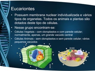 Eucariontes
• Possuem membrana nuclear individualizada e vários
  tipos de organelas. Todos os animais e plantas são
  dotados deste tipo de células.
• Nesse grupo encontram-se:
• Células Vegetais - com cloroplastos e com parede celular;
  normalmente, apenas, um grande vacúolo central
• Células Animais - sem cloroplastos e sem parede celular; vários
  pequenos vacúolos
•
 