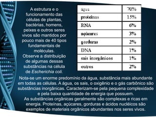 A estrutura e o
    funcionamento das
     células de plantas,
    bactérias, homens,
   peixes e outros seres
  vivos são mantidos por
  pouco mais de 40 tipos
      fundamentais de
         moléculas.
  Observe a distribuição
    de algumas dessas
   substâncias na célula
    de Escherichia coli.
 Nota-se um enorme predomínio da água, substância mais abundante
em todas as células. A água, os sais, o oxigênio e o gás carbônico são
substâncias inorgânicas. Caracterizam-se pela pequena complexidade
           e pela baixa quantidade de energia que possuem.
   As substâncias orgânicas geralmente são complexas e ricas em
    energia. Proteínas, açúcares, gorduras e ácidos nucléicos são
    exemplos de materiais orgânicos abundantes nos seres vivos.
 