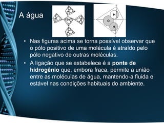 A água


 • Nas figuras acima se torna possível observar que
   o pólo positivo de uma molécula é atraído pelo
   pólo negativo de outras moléculas.
 • A ligação que se estabelece é a ponte de
   hidrogênio que, embora fraca, permite a união
   entre as moléculas de água, mantendo-a fluida e
   estável nas condições habituais do ambiente.
 