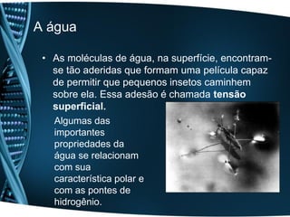 A água

 • As moléculas de água, na superfície, encontram-
   se tão aderidas que formam uma película capaz
   de permitir que pequenos insetos caminhem
   sobre ela. Essa adesão é chamada tensão
   superficial.
   Algumas das
   importantes
   propriedades da
   água se relacionam
   com sua
   característica polar e
   com as pontes de
   hidrogênio.
 