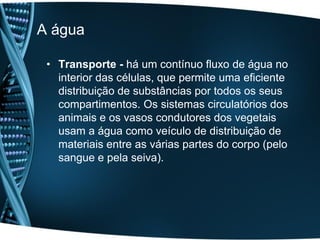 A água

 • Transporte - há um contínuo fluxo de água no
   interior das células, que permite uma eficiente
   distribuição de substâncias por todos os seus
   compartimentos. Os sistemas circulatórios dos
   animais e os vasos condutores dos vegetais
   usam a água como veículo de distribuição de
   materiais entre as várias partes do corpo (pelo
   sangue e pela seiva).
 