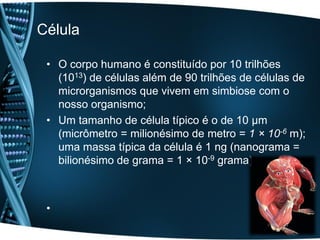 Célula

 • O corpo humano é constituído por 10 trilhões
   (1013) de células além de 90 trilhões de células de
   microrganismos que vivem em simbiose com o
   nosso organismo;
 • Um tamanho de célula típico é o de 10 µm
   (micrômetro = milionésimo de metro = 1 × 10-6 m);
   uma massa típica da célula é 1 ng (nanograma =
   bilionésimo de grama = 1 × 10-9 grama).



 •
 
