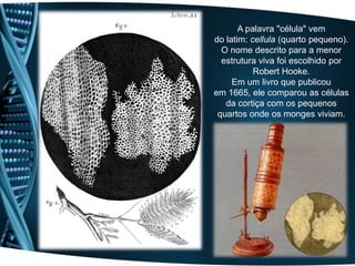 A palavra "célula" vem
do latim: cellula (quarto pequeno).
  O nome descrito para a menor
  estrutura viva foi escolhido por
           Robert Hooke.
     Em um livro que publicou
em 1665, ele comparou as células
   da cortiça com os pequenos
 quartos onde os monges viviam.
 
