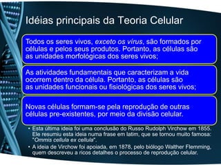 Idéias principais da Teoria Celular
Todos os seres vivos, exceto os vírus, são formados por
células e pelos seus produtos. Portanto, as células são
as unidades morfológicas dos seres vivos;

As atividades fundamentais que caracterizam a vida
ocorrem dentro da célula. Portanto, as células são
as unidades funcionais ou fisiológicas dos seres vivos;

Novas células formam-se pela reprodução de outras
células pre-existentes, por meio da divisão celular.
• Esta última ideia foi uma conclusão do Russo Rudolph Virchow em 1855.
  Ele resumiu esta ideia numa frase em latim, que se tornou muito famosa:
  "Ommis cellula ex cellula".
• A ideia de Virchow foi apoiada, em 1878, pelo biólogo Walther Flemming,
  quem descreveu a ricos detalhes o processo de reprodução celular.
 
