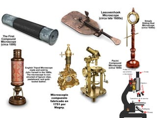 Microscopio
compuesto
fabricado en
1751 por
Magny.
 