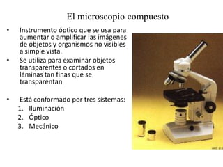 El microscopio compuesto
• Instrumento óptico que se usa para
aumentar o amplificar las imágenes
de objetos y organismos no visibles
a simple vista.
• Se utiliza para examinar objetos
transparentes o cortados en
láminas tan finas que se
transparentan
• Está conformado por tres sistemas:
1. Iluminación
2. Óptico
3. Mecánico
 