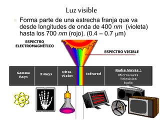 ESPECTRO VISIBLE
ESPECTRO
ELECTROMAGNÉTICO
Luz visible
 Forma parte de una estrecha franja que va
desde longitudes de onda de 400 nm (violeta)
hasta los 700 nm (rojo). (0.4 – 0.7 mm)
 