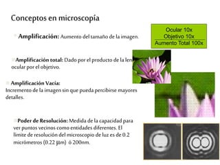  Amplificación Vacía:
Incremento de la imagen sin que pueda percibirse mayores
detalles.
Amplificación total: Dado por el producto dela lente
ocularporel objetivo.
Amplificación: Aumento deltamaño de la imagen.
Conceptosen microscopía
Ocular 10x
Objetivo 10x
Aumento Total 100x
Poderde Resolución: Medida de la capacidad para
verpuntos vecinos como entidades diferentes. El
límite de resolución del microscopio deluzes de 0.2
micrómetros (0.22 μm) ó 200nm.
 