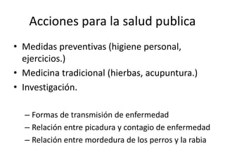 Acciones para la salud publica
• Medidas preventivas (higiene personal,
ejercicios.)
• Medicina tradicional (hierbas, acupuntura.)
• Investigación.
– Formas de transmisión de enfermedad
– Relación entre picadura y contagio de enfermedad
– Relación entre mordedura de los perros y la rabia
 