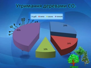 Утримання деревами СО2
29%
16%
10%
45%
дуб липа сосна тополя
 