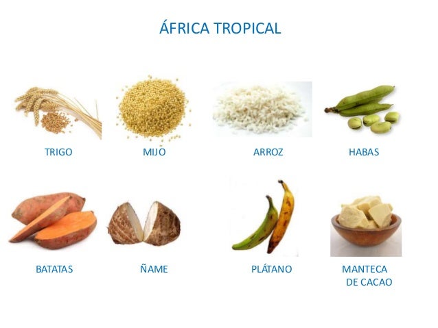 alimentos de africa 2 alimentaci 243 n de los pueblos de la tierra alimentos de africa 2 alimentaci 243 n de los pueblos de la tierra