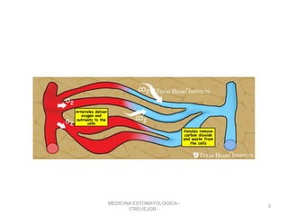 MEDICINA ESTOMATOLOGICA -
ITREVEJOR -
3
 