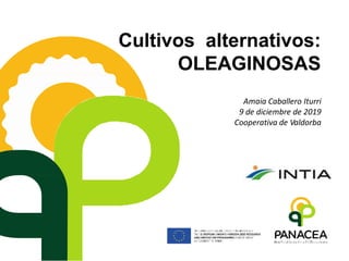 Cultivos alternativos:
OLEAGINOSAS
Amaia Caballero Iturri
9 de diciembre de 2019
Cooperativa de Valdorba
 