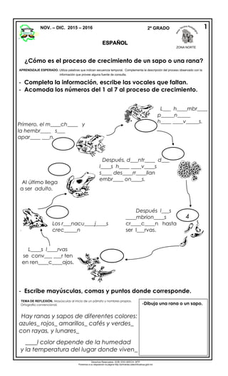 ESPAÑOL
- Completa la información, escribe las vocales que faltan.
- Acomoda los números del 1 al 7 al proceso de crecimiento.
- Escribe mayúsculas, comas y puntos donde corresponde.
TEMA DE REFLEXIÓN. Mayúsculas al inicio de un párrafo y nombres propios.
Ortografía convencional.
Hay ranas y sapos de diferentes colores:
azules_ rojos_ amarillos_ cafés y verdes_
con rayas, y lunares_
____l color depende de la humedad
y la temperatura del lugar donde viven_
NOV. – DIC. 2015 – 2016 2º GRADO 1
¿Cómo es el proceso de crecimiento de un sapo o una rana?
APRENDIZAJE ESPERADO. Utiliza palabras que indican secuencia temporal. Complementa la descripción del proceso observado con la
información que provee alguna fuente de consulta.
Primero, el m____ch____ y
la hembr____ s___
apar____ ___n.
L___ h____mbr____
p_____n_____
h____ ____v_____s.
Después, d___ntr____ d___
l____s h____ ____v____s
s____ des____rr____llan
embr____ on____s.
Después l___s
____mbrion____s
cr____c____n hasta
ser l___rvas.
4
L____s l____rvas
se conv___ ___r ten
en ren____c____ajos.
Los r___nacu____j____s
crec_____n
Al último llega
a ser adulto.
-Dibuja una rana o un sapo.
Derechos Reservados. GOB. EDO.SEECH. MTP
Ponemos a su disposición la página http://primarias.cetechihuahua.gob.mx
ZONA NORTE
 
