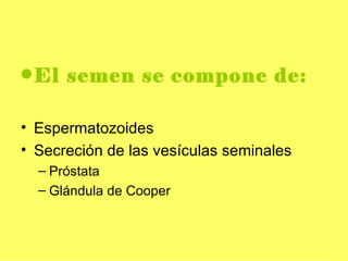 <ul><li>El semen se compone de: </li></ul><ul><li>Espermatozoides </li></ul><ul><li>Secreción de las vesículas seminales <...