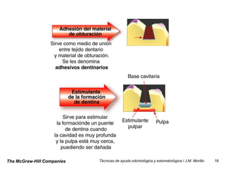 The McGraw-Hill Companies   Técnicas de ayuda odontológica y estomatológica / J.M. Morillo   18
 