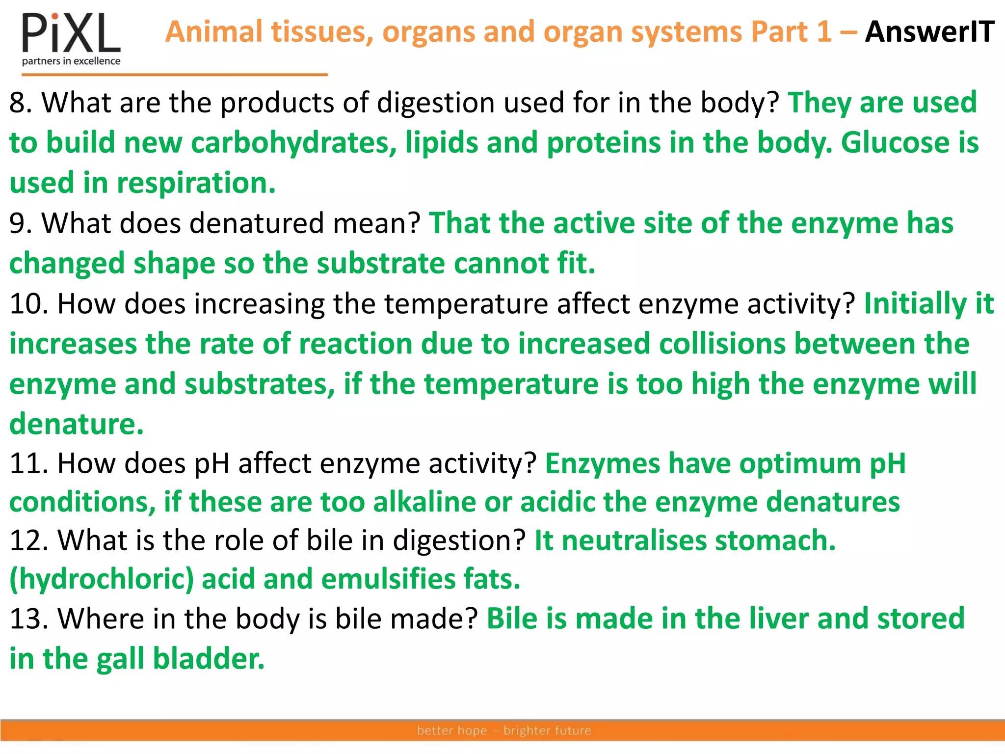 8. What are the products of digestion used for in the body? They are used
to build new carbohydrates, lipids and proteins in the body. Glucose is
used in respiration.
9. What does denatured mean? That the active site of the enzyme has
changed shape so the substrate cannot fit.
10. How does increasing the temperature affect enzyme activity? Initially it
increases the rate of reaction due to increased collisions between the
enzyme and substrates, if the temperature is too high the enzyme will
denature.
11. How does pH affect enzyme activity? Enzymes have optimum pH
conditions, if these are too alkaline or acidic the enzyme denatures
12. What is the role of bile in digestion? It neutralises stomach.
(hydrochloric) acid and emulsifies fats.
13. Where in the body is bile made? Bile is made in the liver and stored
in the gall bladder.
Animal tissues, organs and organ systems Part 1 – AnswerIT
 