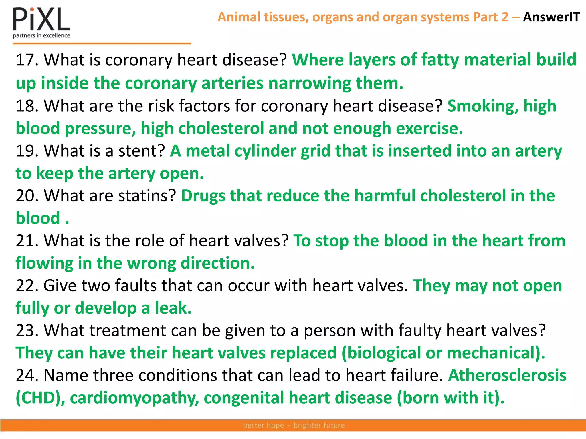 17. What is coronary heart disease? Where layers of fatty material build
up inside the coronary arteries narrowing them.
18. What are the risk factors for coronary heart disease? Smoking, high
blood pressure, high cholesterol and not enough exercise.
19. What is a stent? A metal cylinder grid that is inserted into an artery
to keep the artery open.
20. What are statins? Drugs that reduce the harmful cholesterol in the
blood .
21. What is the role of heart valves? To stop the blood in the heart from
flowing in the wrong direction.
22. Give two faults that can occur with heart valves. They may not open
fully or develop a leak.
23. What treatment can be given to a person with faulty heart valves?
They can have their heart valves replaced (biological or mechanical).
24. Name three conditions that can lead to heart failure. Atherosclerosis
(CHD), cardiomyopathy, congenital heart disease (born with it).
Animal tissues, organs and organ systems Part 2 – AnswerIT
 