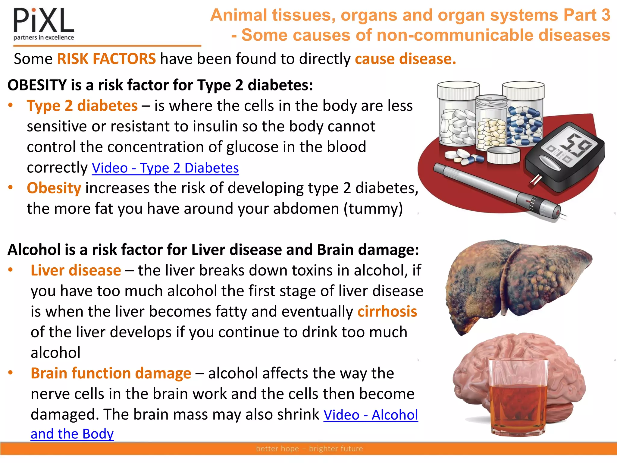 Some RISK FACTORS have been found to directly cause disease.
Animal tissues, organs and organ systems Part 3
- Some causes of non-communicable diseases
OBESITY is a risk factor for Type 2 diabetes:
• Type 2 diabetes – is where the cells in the body are less
sensitive or resistant to insulin so the body cannot
control the concentration of glucose in the blood
correctly Video - Type 2 Diabetes
• Obesity increases the risk of developing type 2 diabetes,
the more fat you have around your abdomen (tummy)
Alcohol is a risk factor for Liver disease and Brain damage:
• Liver disease – the liver breaks down toxins in alcohol, if
you have too much alcohol the first stage of liver disease
is when the liver becomes fatty and eventually cirrhosis
of the liver develops if you continue to drink too much
alcohol
• Brain function damage – alcohol affects the way the
nerve cells in the brain work and the cells then become
damaged. The brain mass may also shrink Video - Alcohol
and the Body
 