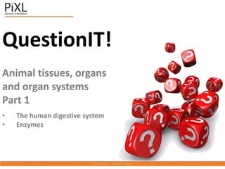 QuestionIT!
Animal tissues, organs
and organ systems
Part 1
• The human digestive system
• Enzymes
 