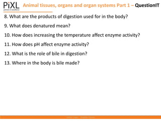 8. What are the products of digestion used for in the body?
9. What does denatured mean?
10. How does increasing the temperature affect enzyme activity?
11. How does pH affect enzyme activity?
12. What is the role of bile in digestion?
13. Where in the body is bile made?
Animal tissues, organs and organ systems Part 1 – QuestionIT
 