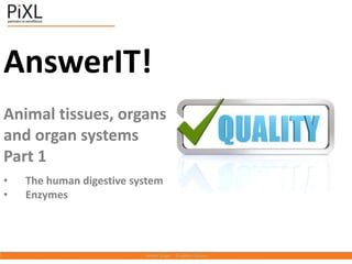AnswerIT!
Animal tissues, organs
and organ systems
Part 1
• The human digestive system
• Enzymes
 