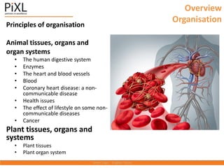 Overview
Organisation
Principles of organisation
Animal tissues, organs and
organ systems
• The human digestive system
• Enzymes
• The heart and blood vessels
• Blood
• Coronary heart disease: a non-
communicable disease
• Health issues
• The effect of lifestyle on some non-
communicable diseases
• Cancer
Plant tissues, organs and
systems
• Plant tissues
• Plant organ system
 