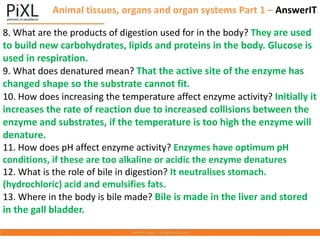 8. What are the products of digestion used for in the body? They are used
to build new carbohydrates, lipids and proteins in the body. Glucose is
used in respiration.
9. What does denatured mean? That the active site of the enzyme has
changed shape so the substrate cannot fit.
10. How does increasing the temperature affect enzyme activity? Initially it
increases the rate of reaction due to increased collisions between the
enzyme and substrates, if the temperature is too high the enzyme will
denature.
11. How does pH affect enzyme activity? Enzymes have optimum pH
conditions, if these are too alkaline or acidic the enzyme denatures
12. What is the role of bile in digestion? It neutralises stomach.
(hydrochloric) acid and emulsifies fats.
13. Where in the body is bile made? Bile is made in the liver and stored
in the gall bladder.
Animal tissues, organs and organ systems Part 1 – AnswerIT
 