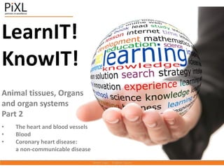 LearnIT!
KnowIT!
Animal tissues, Organs
and organ systems
Part 2
• The heart and blood vessels
• Blood
• Coronary heart disease:
a non-communicable disease
 