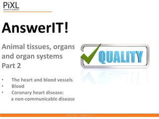 AnswerIT!
Animal tissues, organs
and organ systems
Part 2
• The heart and blood vessels
• Blood
• Coronary heart disease:
a non-communicable disease
 