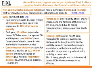 Non-communicable diseases (NCDs) can have a significant human and financial
cost for individuals, local communities, nationally and globally.
Animal tissues, organs and organ systems Part 3 - Non-
communicable diseases, the human and financial costs
Video - NCDs
WHO Factsheet data link
• Non-communicable diseases (NCDs)
kill 40 million people each year,
equivalent to 70% of all deaths
globally
• Each year, 15 million people die
from a NCD between the ages of 30
and 69 years; over 80% of these
"premature" deaths occur in low-
and middle-income countries
• Cardiovascular diseases account for
most NCD deaths, or 17.7 million
people annually, followed by
cancers (8.8 million), respiratory
diseases (3.9million), and diabetes
(1.6 million)
Human cost: lower quality of life, shorter
lifespan and the families of the sufferer
are also affected due to caring
responsibilities, parental/partner death
etc.
Financial cost: cost of health care,
research into diseases, awareness
campaigns. Reduced income due to
inability to work, personal care costs,
adaptations to the home and buying
specialist equipment e.g. wheelchairs,
mobility scooters etc.
Also if many people are unable to work
due to NCDs the economy can be
affected.
 