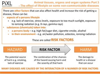 There are other factors that can also affect health and increase the risk of getting a
disease, these can be:
• aspects of a persons lifestyle
 e.g. lack of exercise, stress levels, exposure to too much sunlight, exposure
to ionising radiation (e.g. X-rays, gamma rays)
• substances (chemicals) taken into:
 a persons body – e.g. high fat/sugar diet, cigarette smoke, alcohol
 in their environment - e.g. air/water pollution, asbestos, ionising radiation
These are called RISK FACTORS
Animal tissues, organs and organ systems Part 3
- The effect of lifestyle on some non-communicable diseases
HAZARD RISK FACTOR HARM
The potential source
of harm e.g. smoking,
lack of exercise
The combination of the chances
of the hazard causing harm and
the severity of that harm
The damage to
health or a disease
that can occur
MANY DISEASES ARE CAUSED BY THE INTERACTION OF A NUMBER OF RISK FACTORS
 
