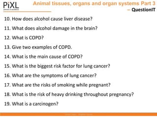 Animal tissues, organs and organ systems Part 3
– QuestionIT
10. How does alcohol cause liver disease?
11. What does alcohol damage in the brain?
12. What is COPD?
13. Give two examples of COPD.
14. What is the main cause of COPD?
15. What is the biggest risk factor for lung cancer?
16. What are the symptoms of lung cancer?
17. What are the risks of smoking while pregnant?
18. What is the risk of heavy drinking throughout pregnancy?
19. What is a carcinogen?
 