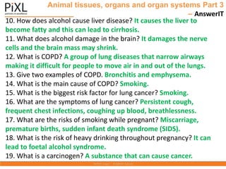 Animal tissues, organs and organ systems Part 3
– AnswerIT
10. How does alcohol cause liver disease? It causes the liver to
become fatty and this can lead to cirrhosis.
11. What does alcohol damage in the brain? It damages the nerve
cells and the brain mass may shrink.
12. What is COPD? A group of lung diseases that narrow airways
making it difficult for people to move air in and out of the lungs.
13. Give two examples of COPD. Bronchitis and emphysema.
14. What is the main cause of COPD? Smoking.
15. What is the biggest risk factor for lung cancer? Smoking.
16. What are the symptoms of lung cancer? Persistent cough,
frequent chest infections, coughing up blood, breathlessness.
17. What are the risks of smoking while pregnant? Miscarriage,
premature births, sudden infant death syndrome (SIDS).
18. What is the risk of heavy drinking throughout pregnancy? It can
lead to foetal alcohol syndrome.
19. What is a carcinogen? A substance that can cause cancer.
 