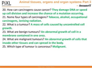 Animal tissues, organs and organ systems Part 3
– AnswerIT
20. How can carcinogens cause cancer? They damage DNA or speed
up cell division and increase the chance of a mutation occurring.
21. Name four types of carcinogens? Tobacco, alcohol, occupational
carcinogens, ionising radiation.
22. What is a tumour? A mass of cells caused by uncontrolled cell
growth.
23. What are benign tumours? An abnormal growth of cell in a
membrane contained in one area.
24. What are malignant tumours? An abnormal growth of cells that
invade other tissues and can spread in the body.
25. Which type of tumour is cancerous? Malignant.
 