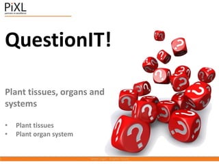 QuestionIT!
Plant tissues, organs and
systems
• Plant tissues
• Plant organ system
 